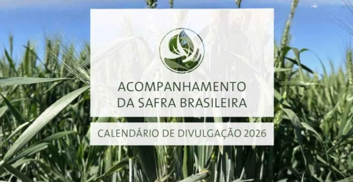 Conab define calendário de 2026 para levantamentos agrícolas