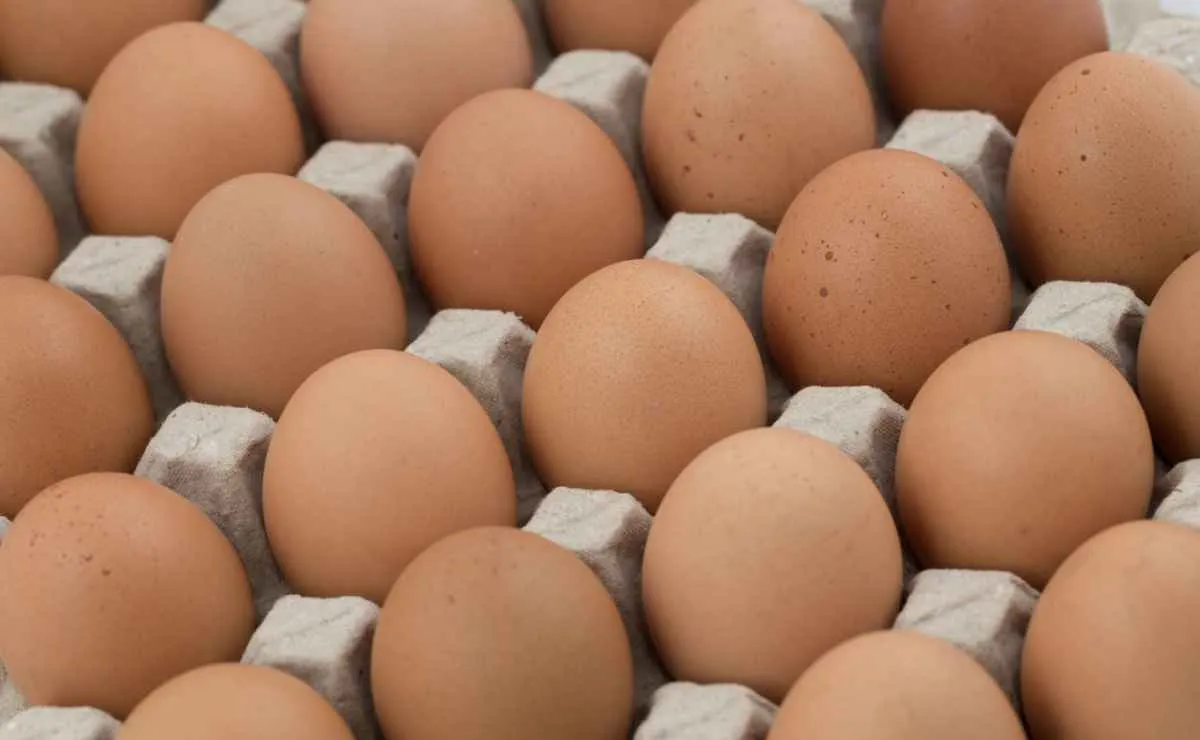 Preço dos ovos tem pior janeiro em seis anos