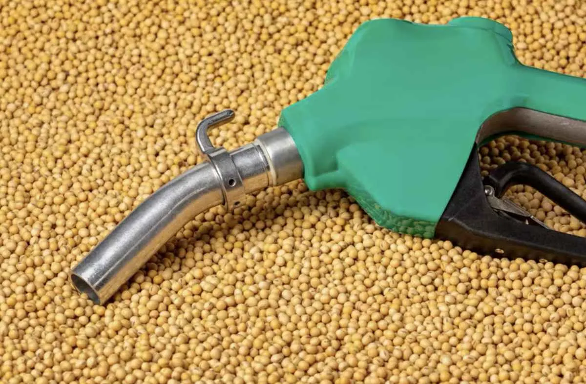 Produção de biodiesel no Brasil bate recorde em 2025