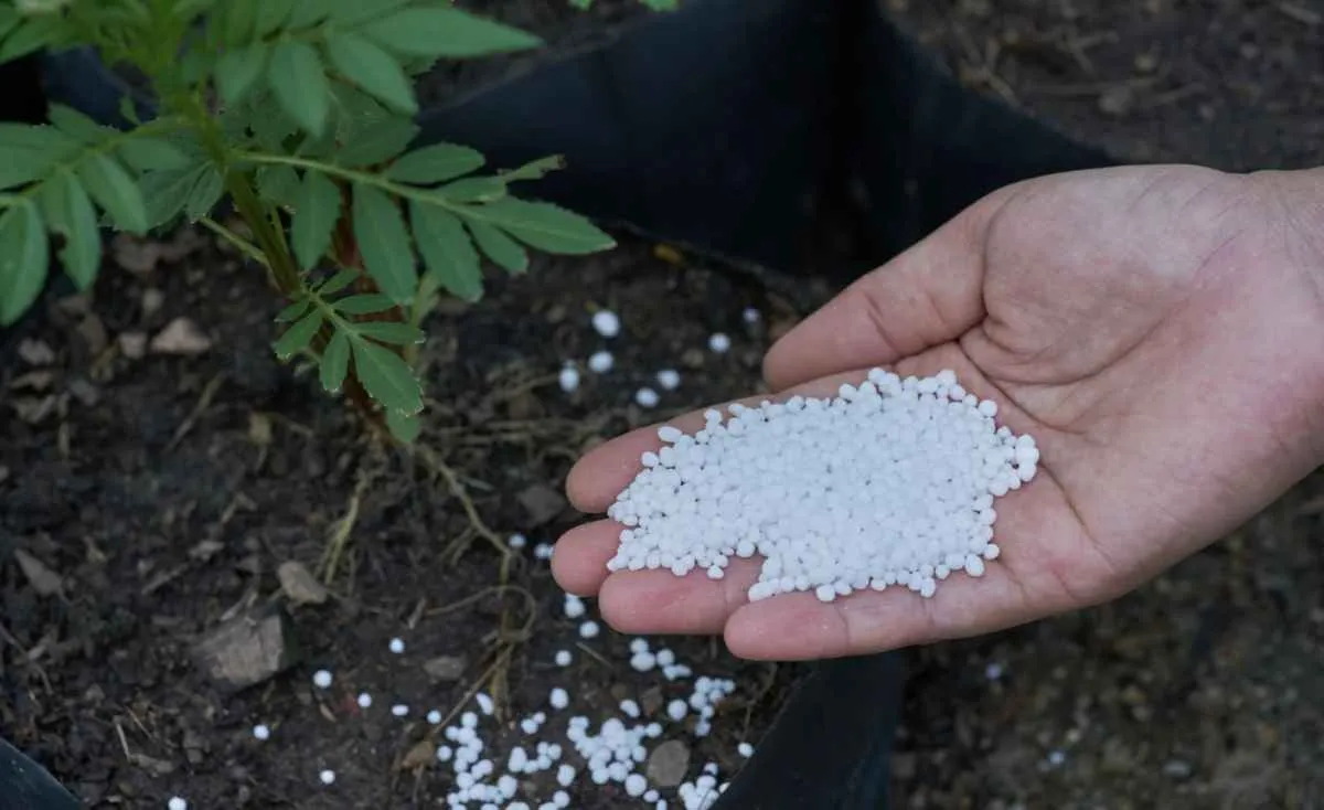 Tensões geopolíticas não devem afetar mercado de ureia, avalia StoneX