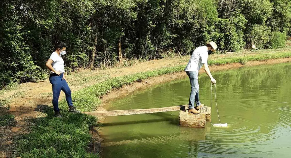 Calor exige atenção redobrada no manejo de viveiros de piscicultura