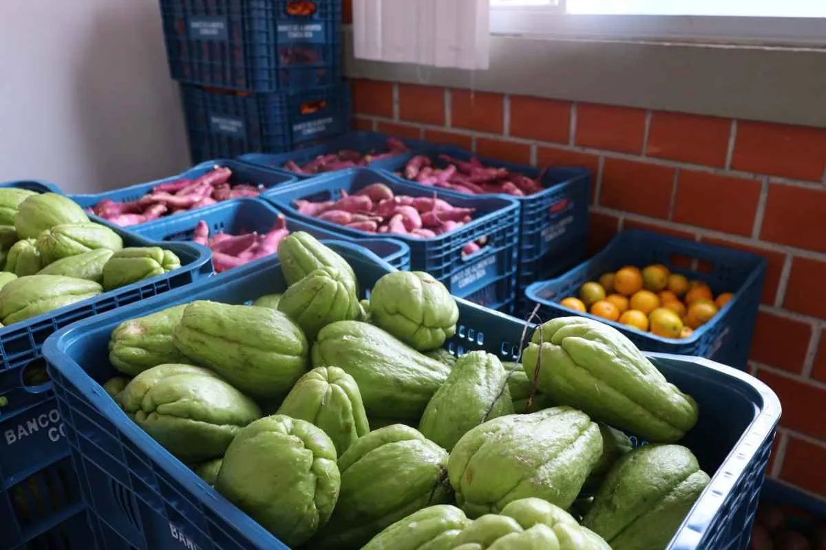 Seab orienta consumidores a evitar desperdício de alimentos