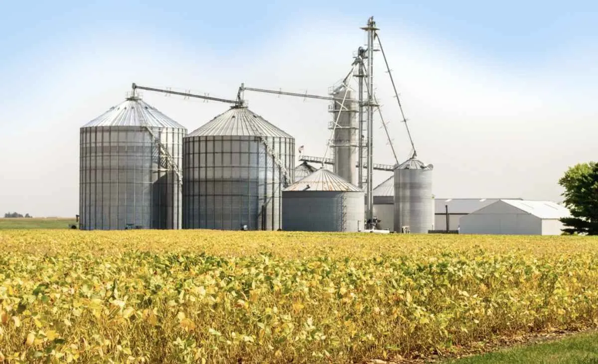 Agroindústria registra leve queda de 0,3% em novembro de 2025, aponta FGVAgro