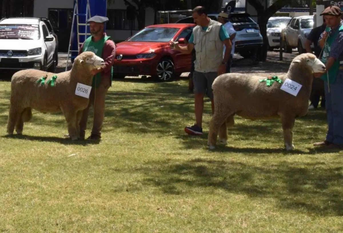 Recorde de inscrições marca a 18ª edição da Agrovino em Bagé