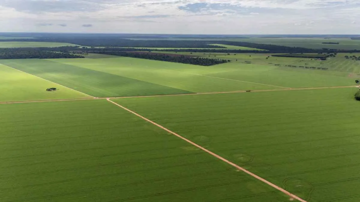 Aprosoja MT critica piso do frete e perda de competitividade