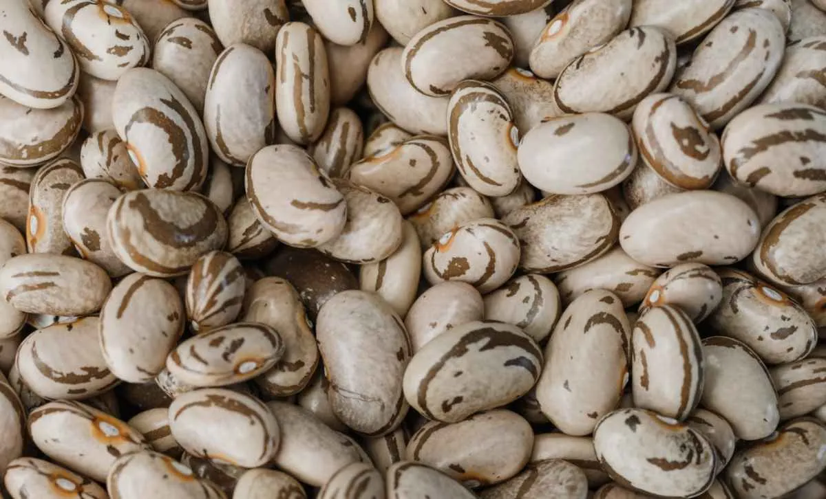 Menor oferta eleva preços do feijão, com destaque para o carioca