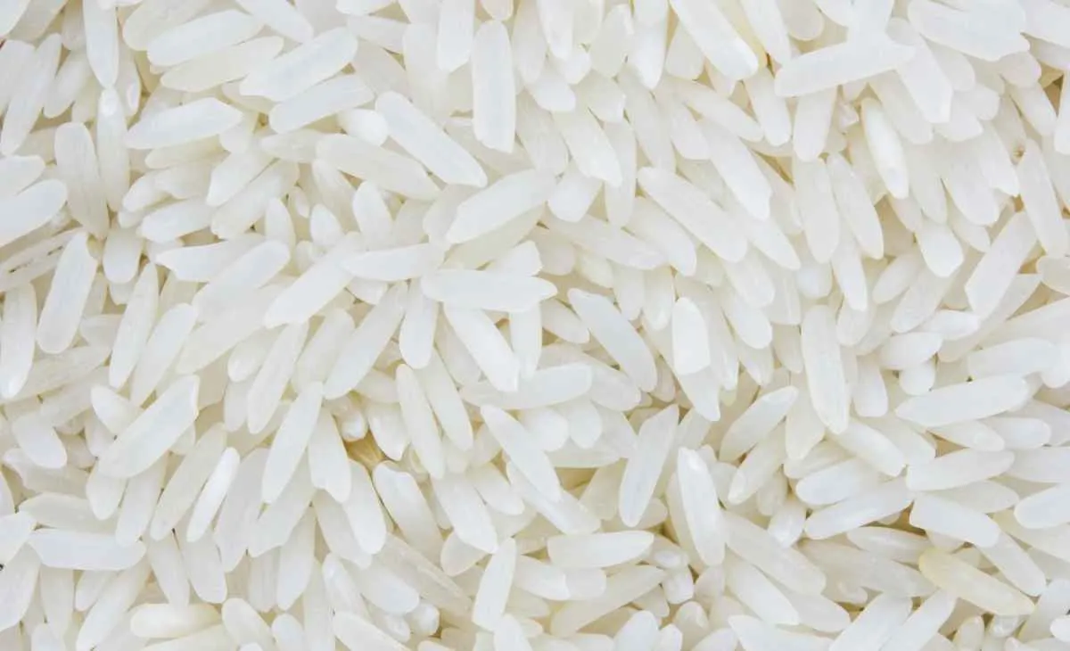 Brasil encerra 2025 com alta de 13% nas exportações de arroz