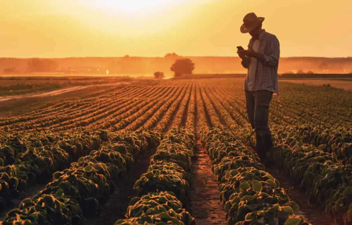 Produtor paranaense deve escolher forma de recolhimento do Funrural em janeiro