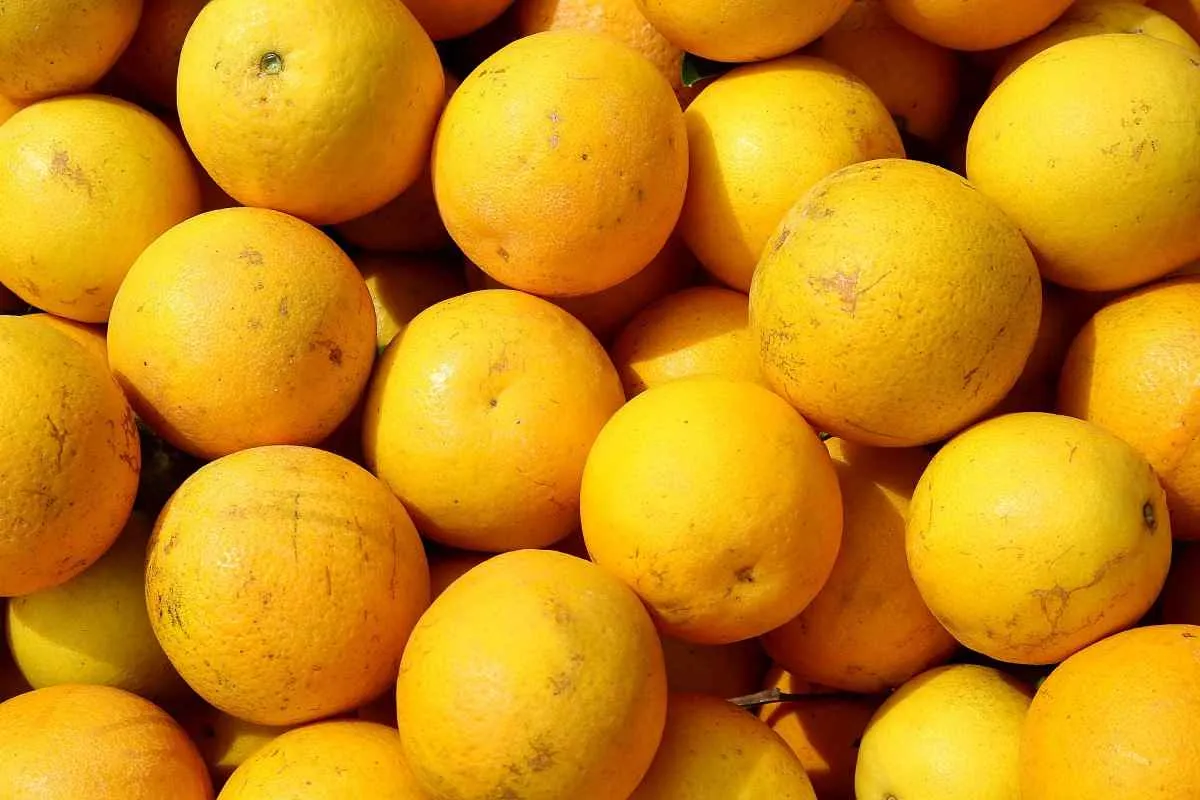 Preços de hortigranjeiros caem e aliviam consumo no Paraná