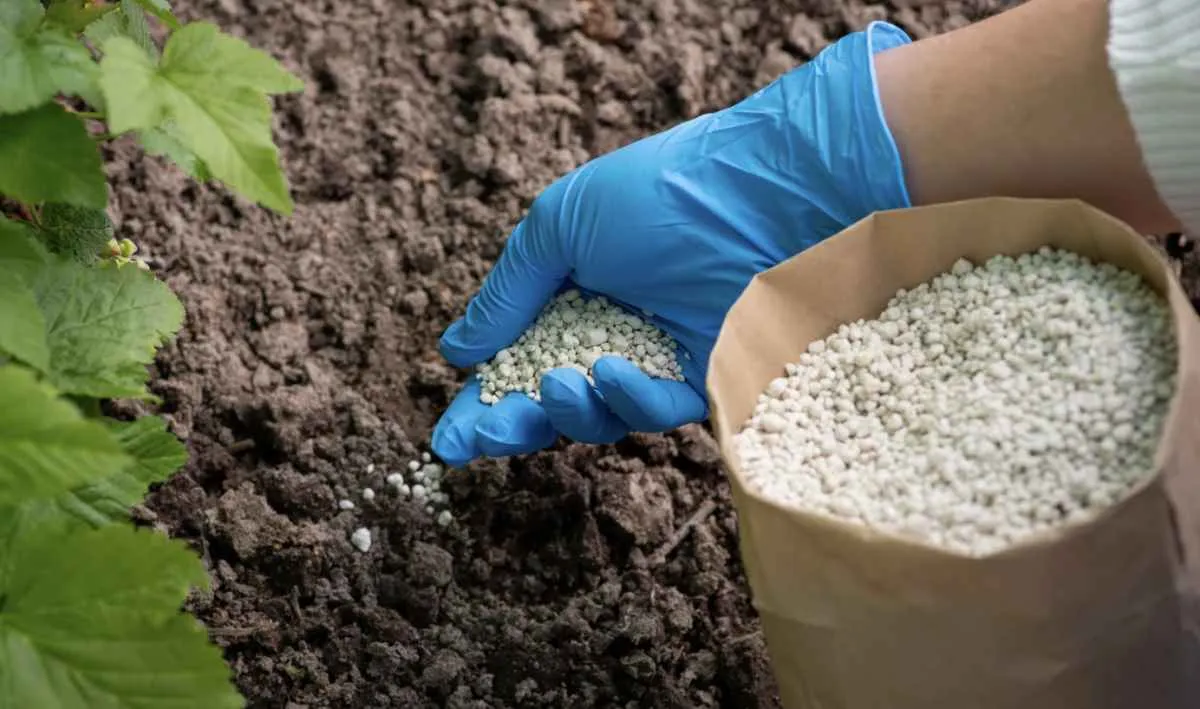 Tensões entre EUA e Irã elevam preços da ureia no mercado global