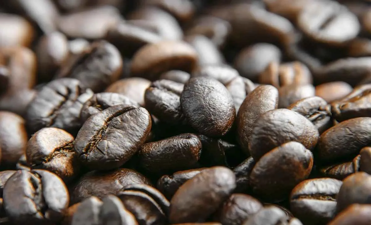 Exportações brasileiras de café caem no 1º semestre da safra 2025/26