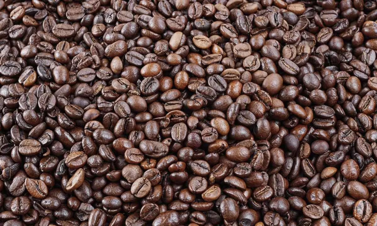 Mercado de café ganha fôlego no início de 2026