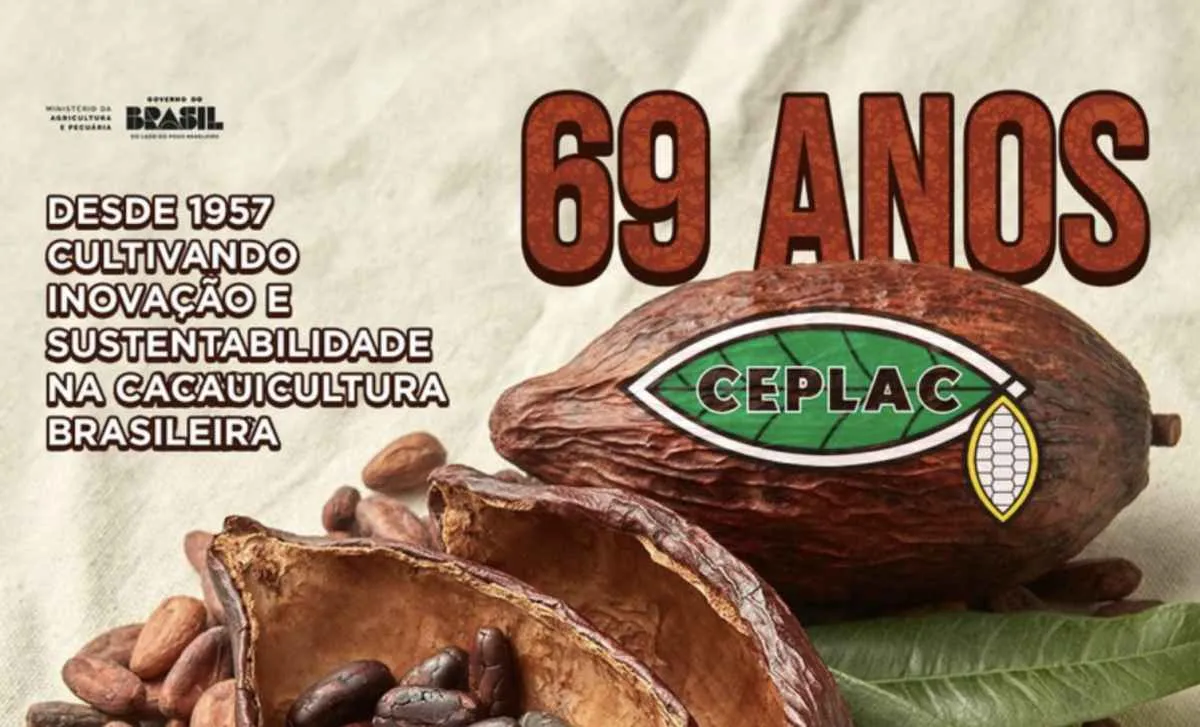 Ceplac celebra 69 anos de apoio ao cacau