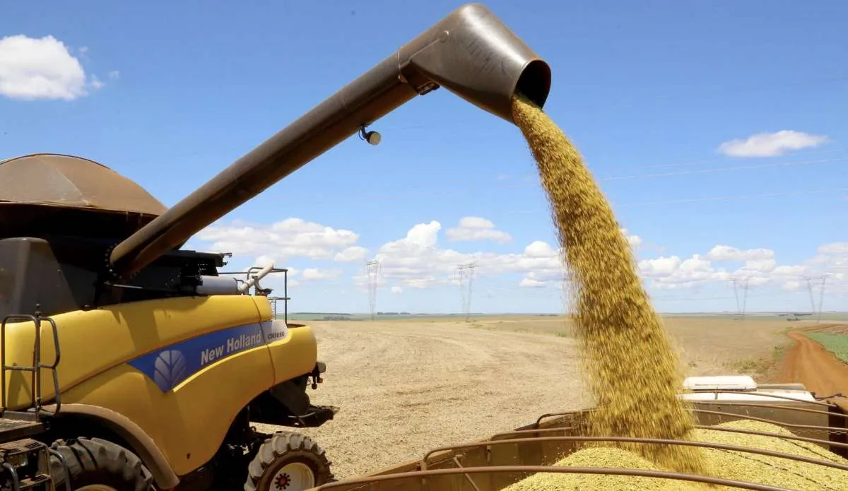 Safra 2025/26 avança no Paraná e produção de verão pode chegar a 25,9 mi de ton