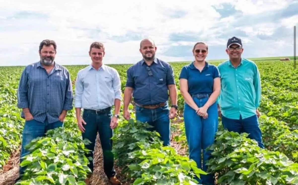 Abrapa alinha diretrizes do ABR no início da safra