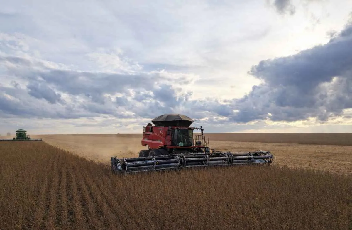 Chuvas intensas dificultam avanço da colheita em MT
