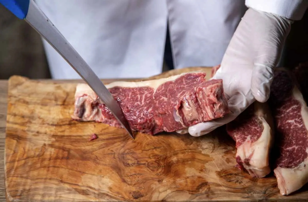 MT bate recorde e tem melhor janeiro da história nas exportações de carne bovina