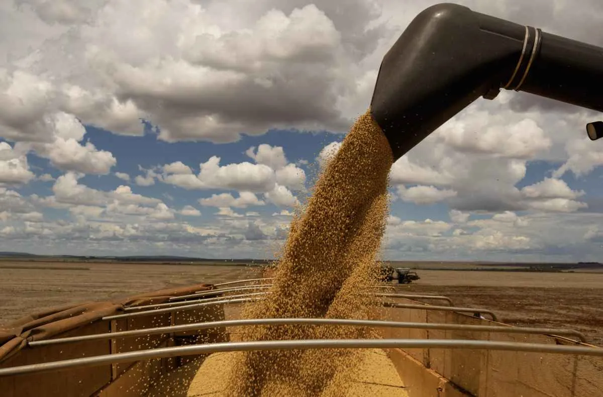 Soja de MT supera 50 milhões de toneladas