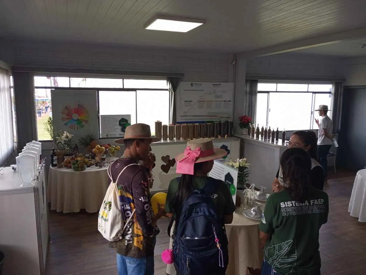 No Show Rural, IDR-Paraná apresenta experiência interativa sobre o café do Paraná