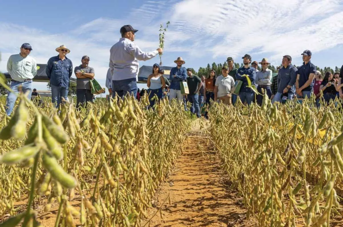 AgroBrasília promove Dia de Campo da Soja no dia 20 de fevereiro