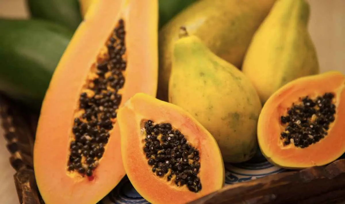 Preço do mamão formosa acumula queda de 51% em janeiro