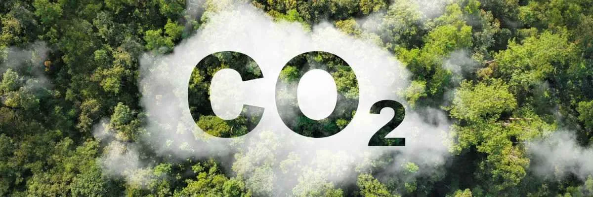 Mercado de carbono exige cautela do produtor