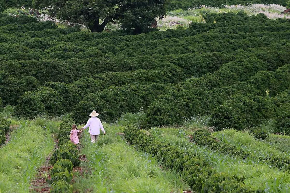 Mais Saúde no Campo alcança 1,3 milhão de paranaenses e reforça cuidado no meio rural