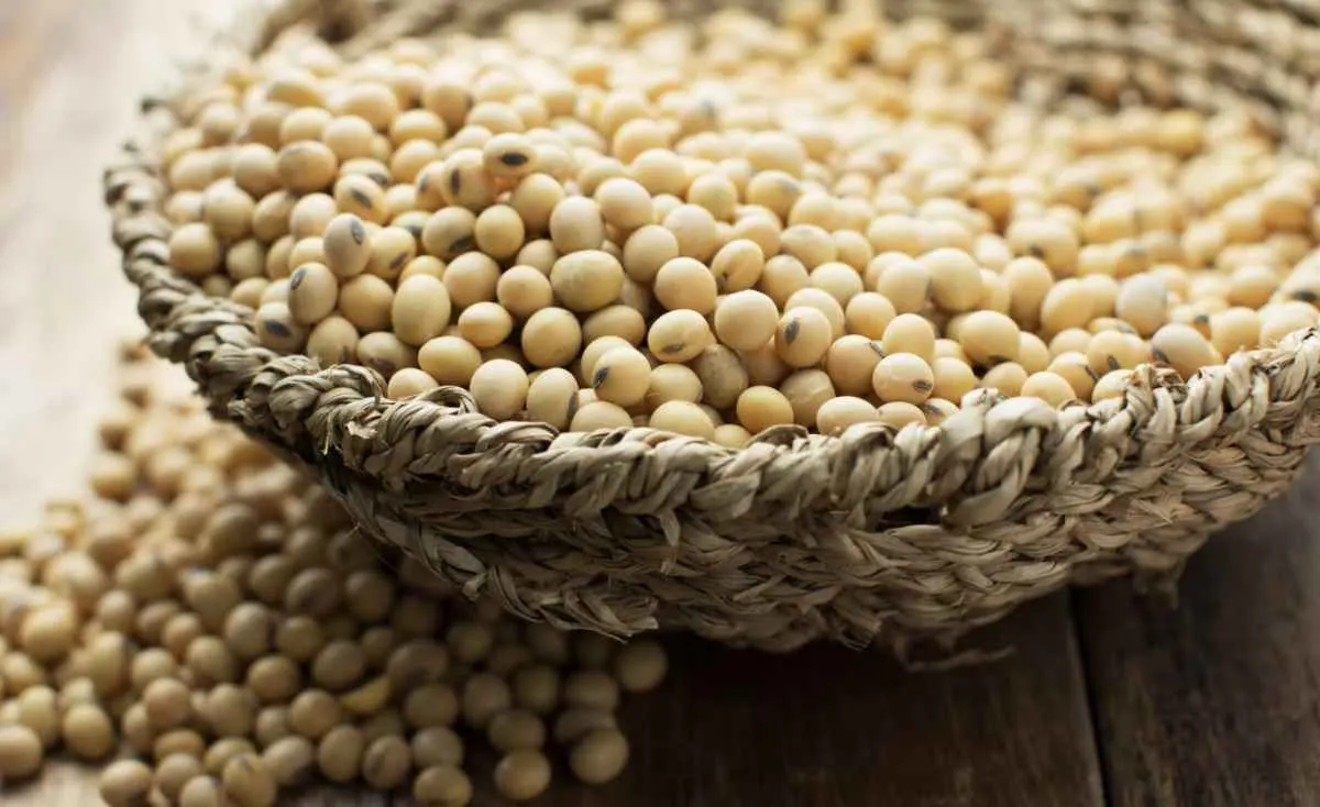 Demanda externa e clima elevam preços da soja