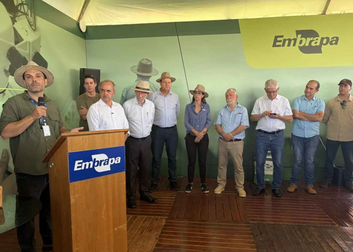 No Dia Mundial do Feijão, Embrapa lança quatro novas cultivares no Show Rural