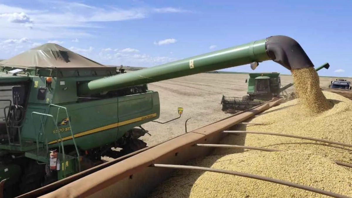 MS inicia colheita da soja e plantio do milho safrinha