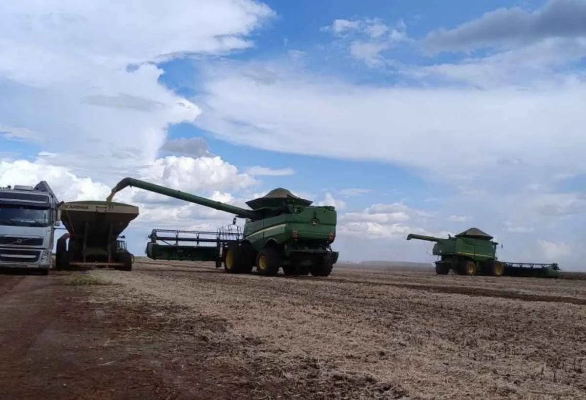 Soja e milho avançam mais lentamente na safra 2025/26 em MS