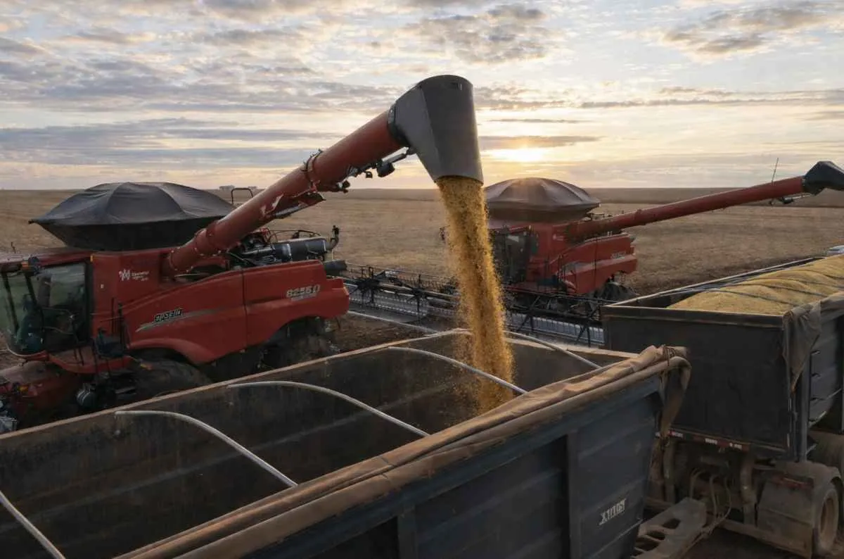 Dia do Agronegócio destaca força de Mato Grosso na economia brasileira