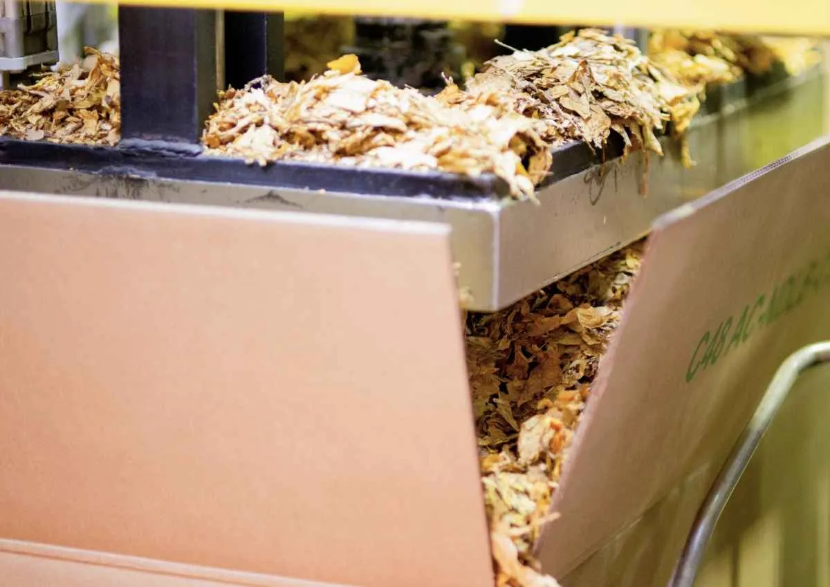 Tabaco cresce em representação nas exportações gaúchas