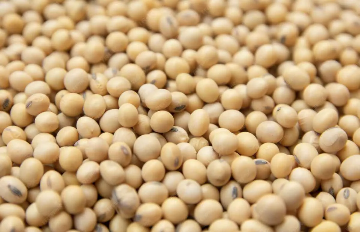 Soja avança em Chicago com expectativa de compras da China