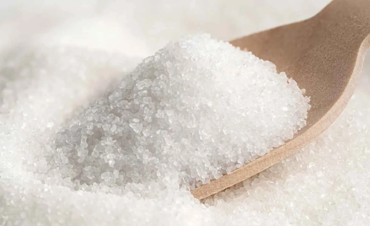 Saca do açúcar cristal branco volta a ser negociada abaixo de R$ 100