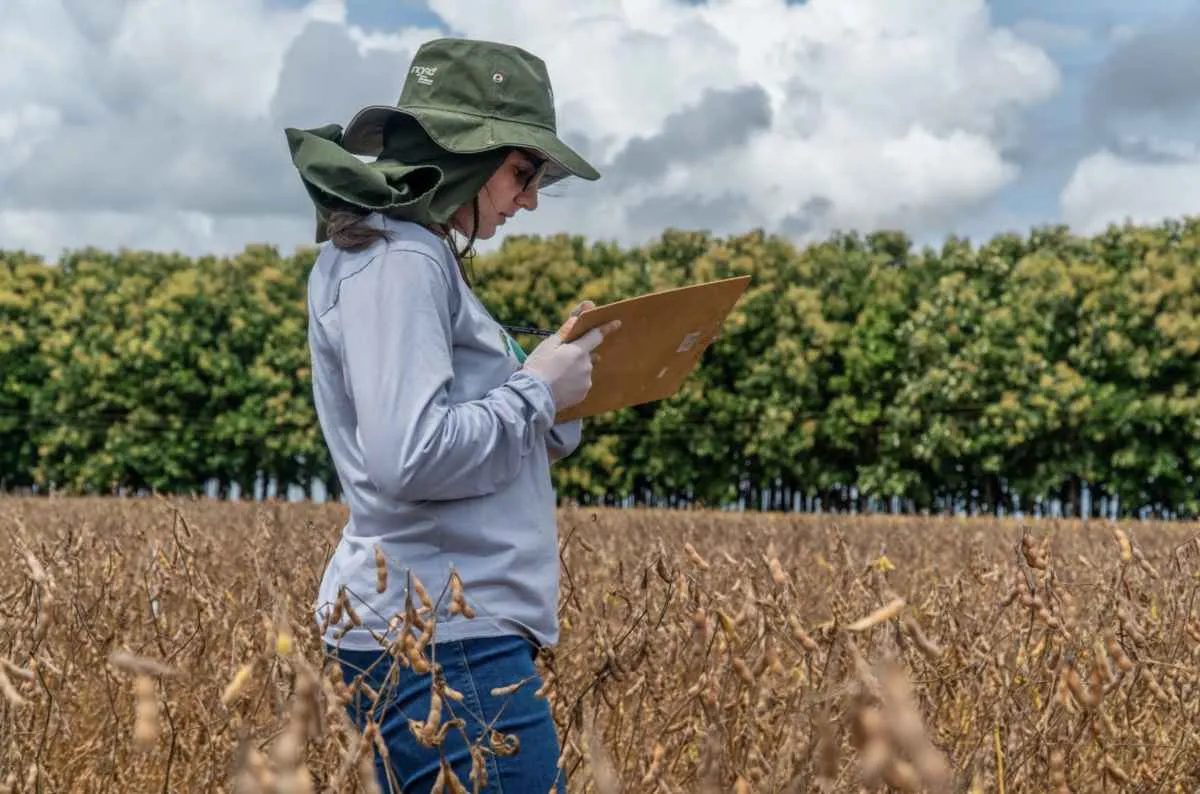 Pesquisa fortalece eficiência no campo em MT