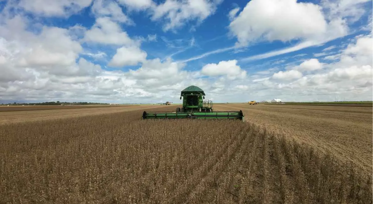 Produtividade da soja em MT sobe 7% e safra pode superar 50 mi t