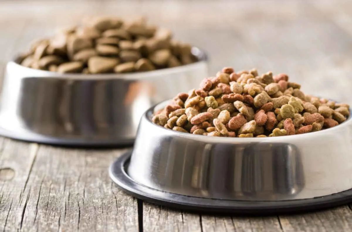 Brasil habilita 40 fábricas de pet food à Costa Rica