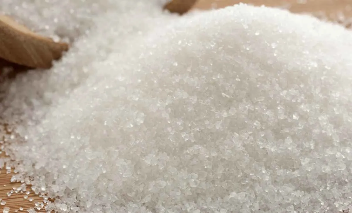 Média parcial de fevereiro do açúcar é a menor desde setembro de 2019