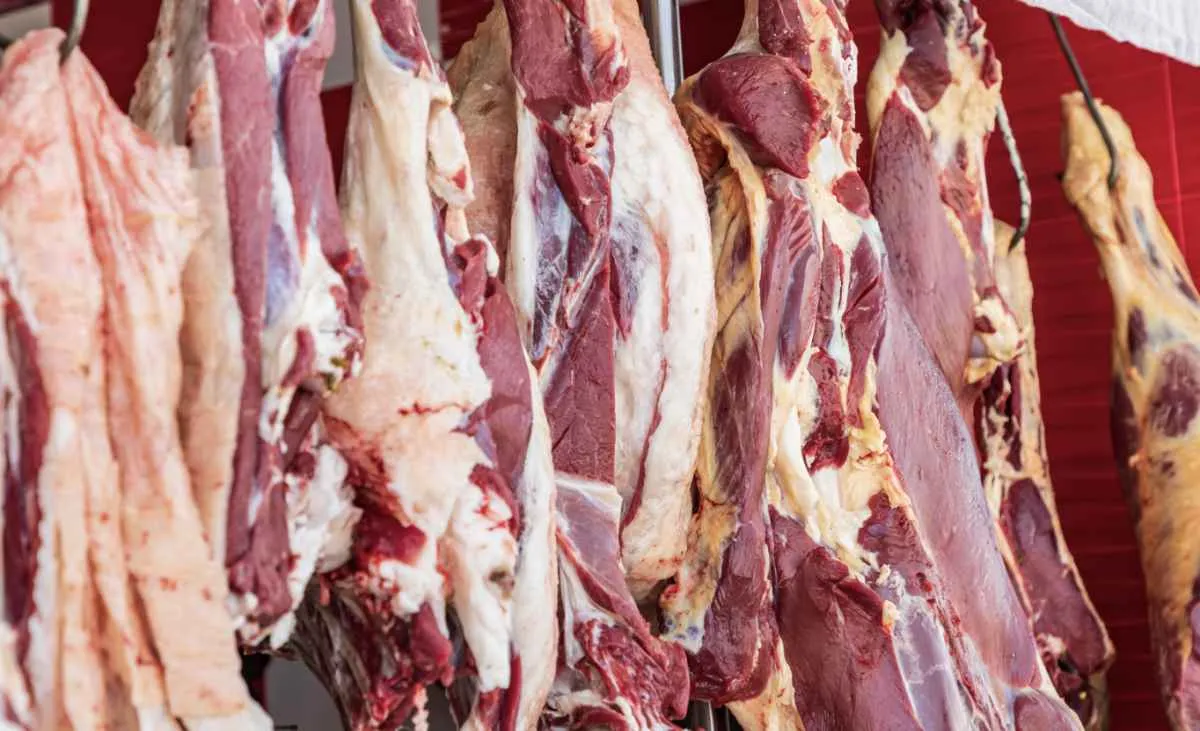 Abate de bovinos bate recorde em 2025