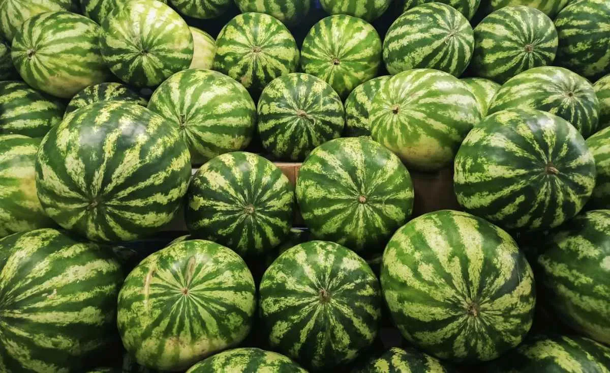 Preços de frutas recuam nas Ceasas em janeiro