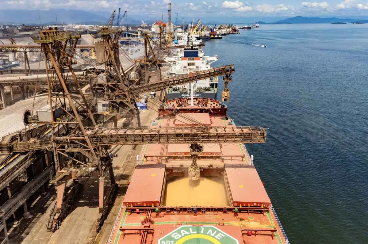 Exportações de soja e carnes avançam nos portos paranaenses