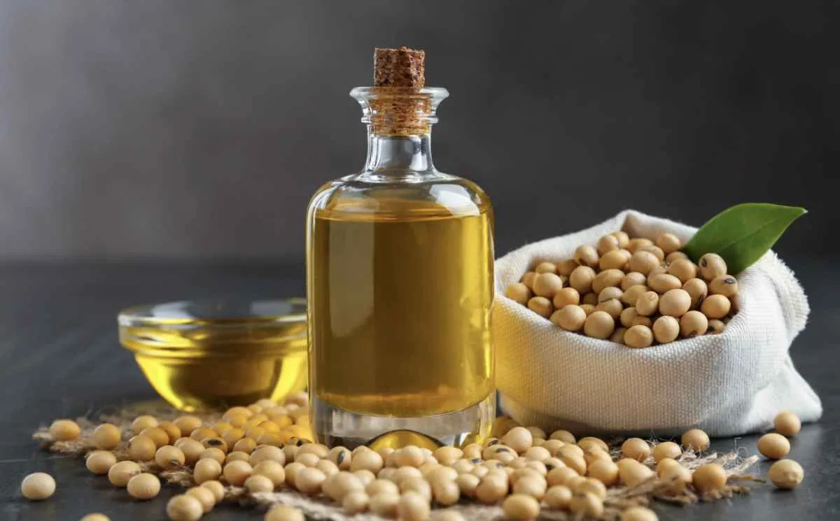 Óleo de soja sobe no Brasil com expectativa sobre biodiesel