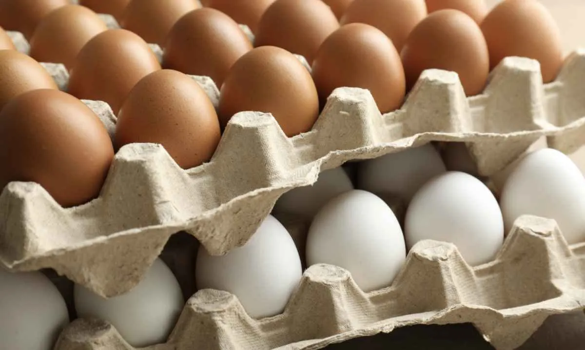 Ovos vermelhos ficam mais de 40% acima dos brancos em março