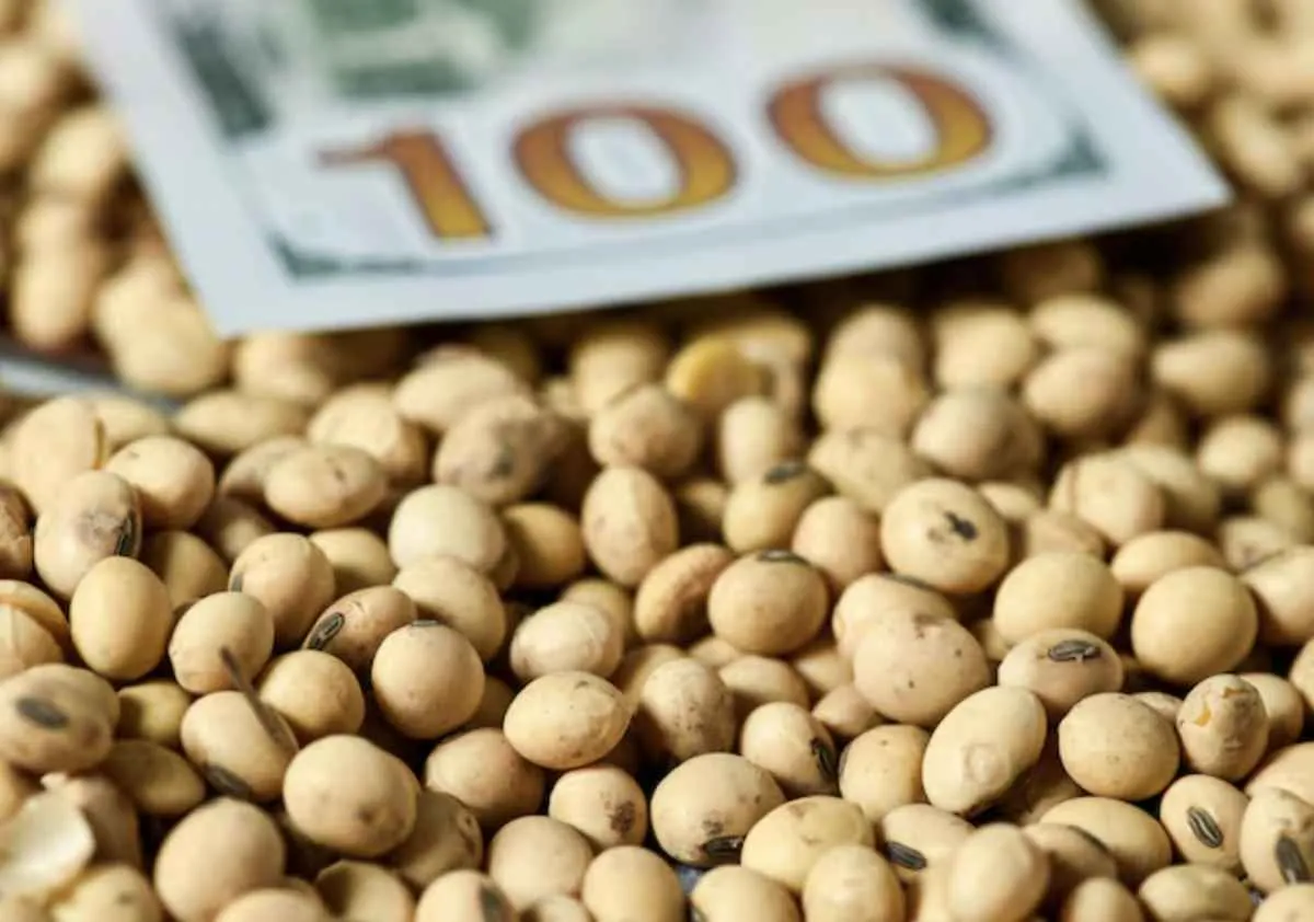 LCAs lideram financiamento privado do agro