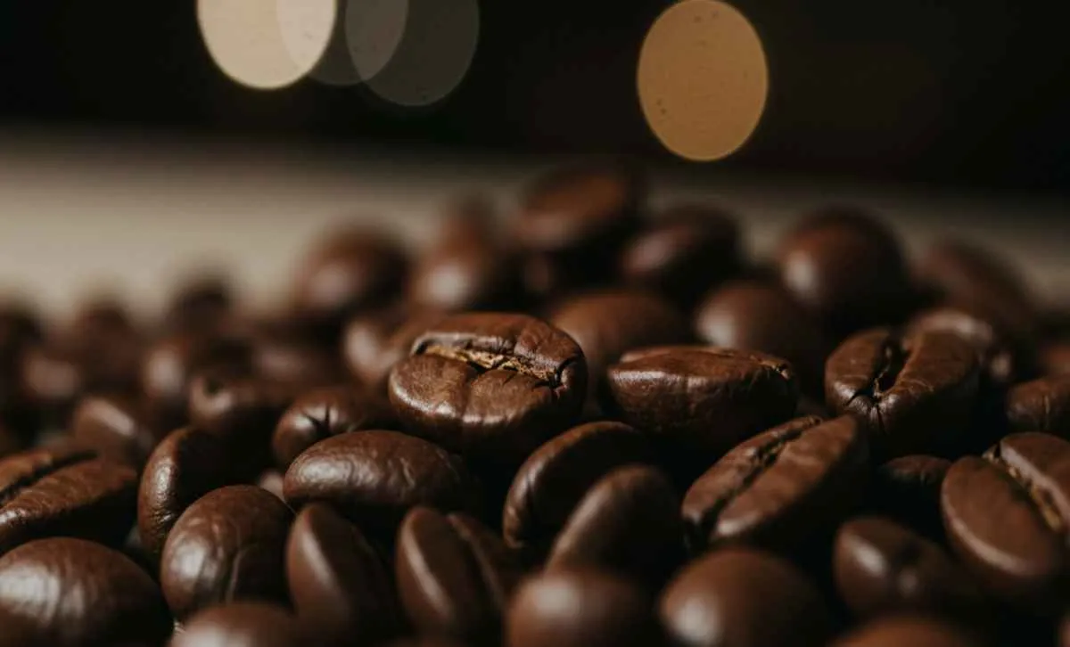 Empresas brasileiras disputam prêmio global de café sustentável