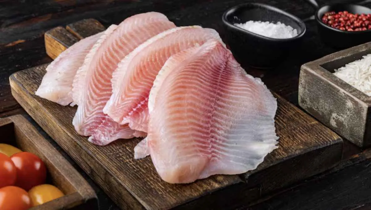 Embrapa faz primeiro estudo no Brasil sobre carne de peixe produzida em laboratório