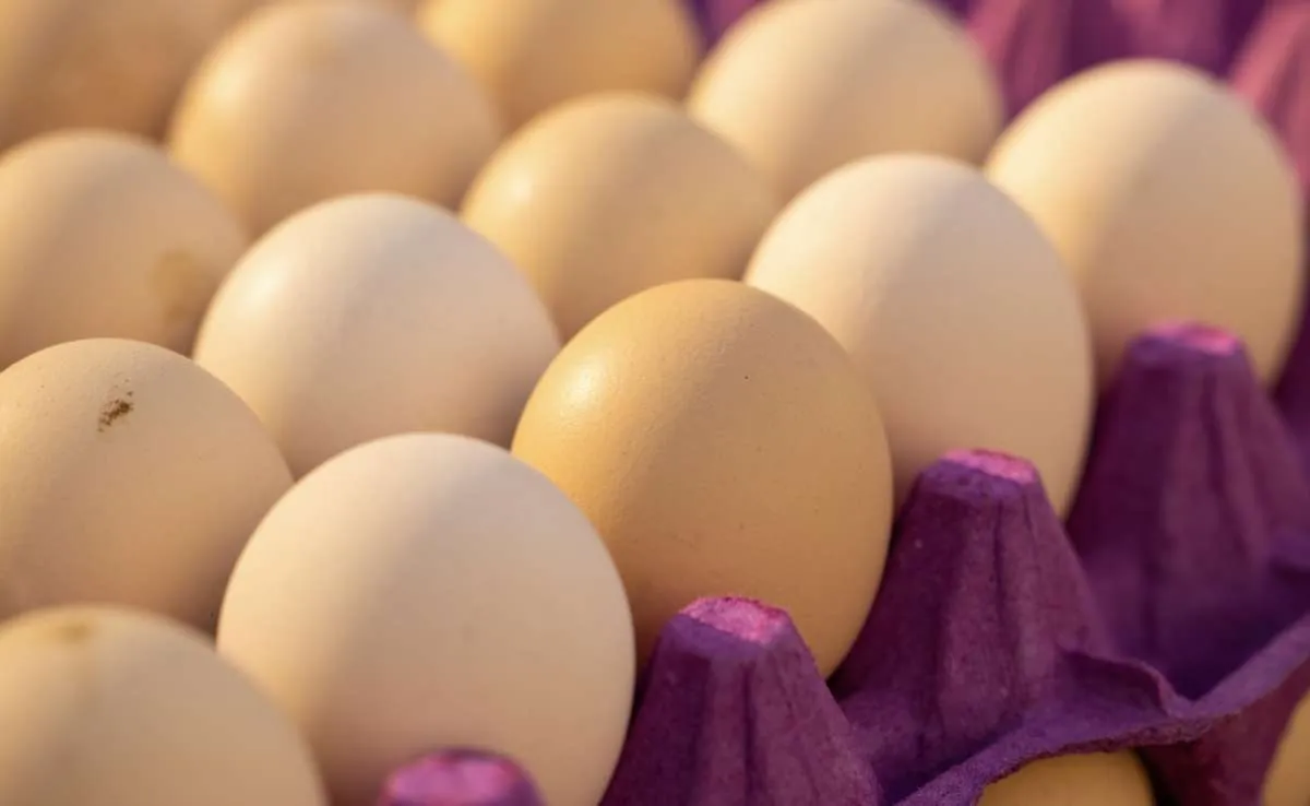 Preços dos ovos sobem com demanda aquecida no mercado