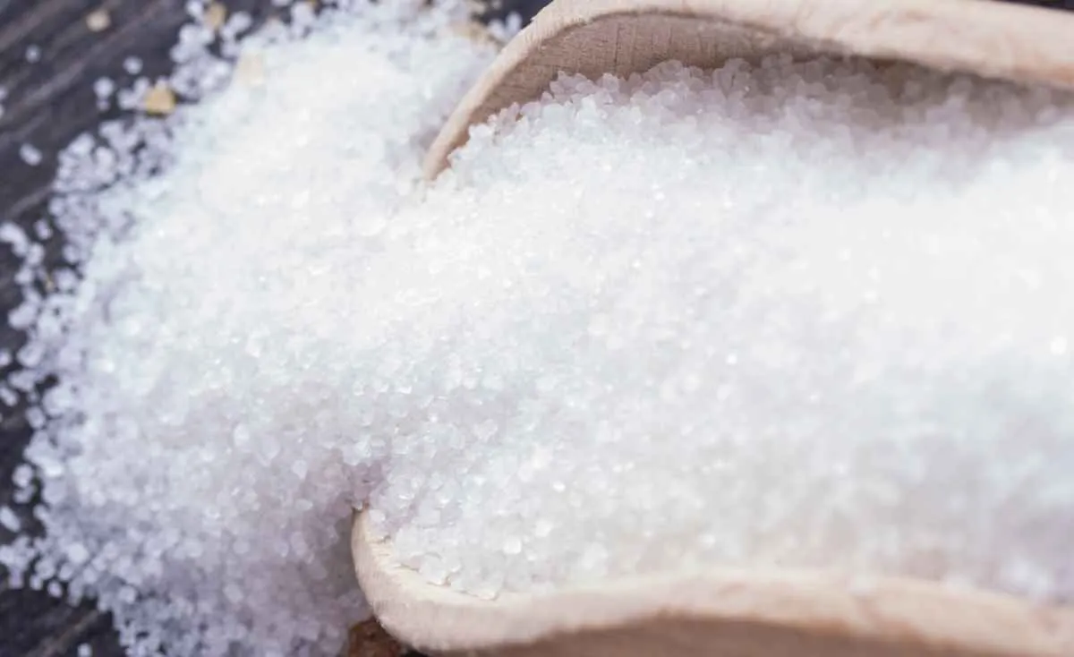 Açúcar sobe em SP, mas exportação segue mais rentável