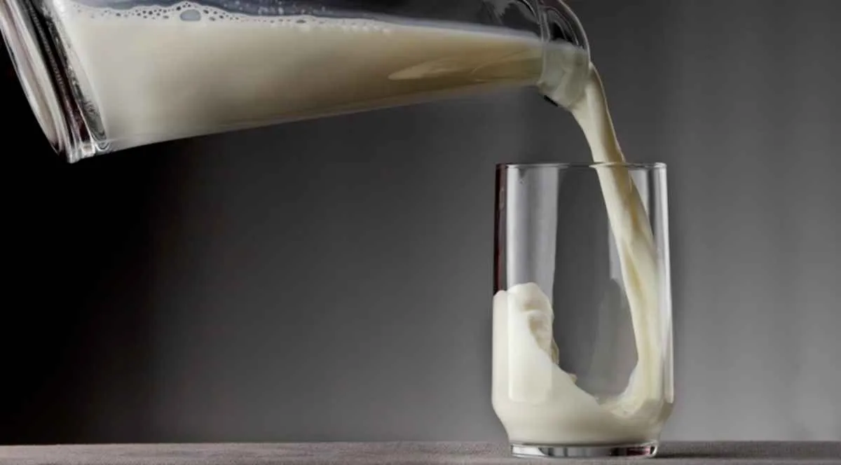 CNA defende regra para rótulos de produtos plant-based